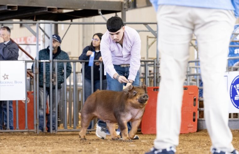 Mercedes Senior Hector Zuniga Prepares for Final Year at RGVLS