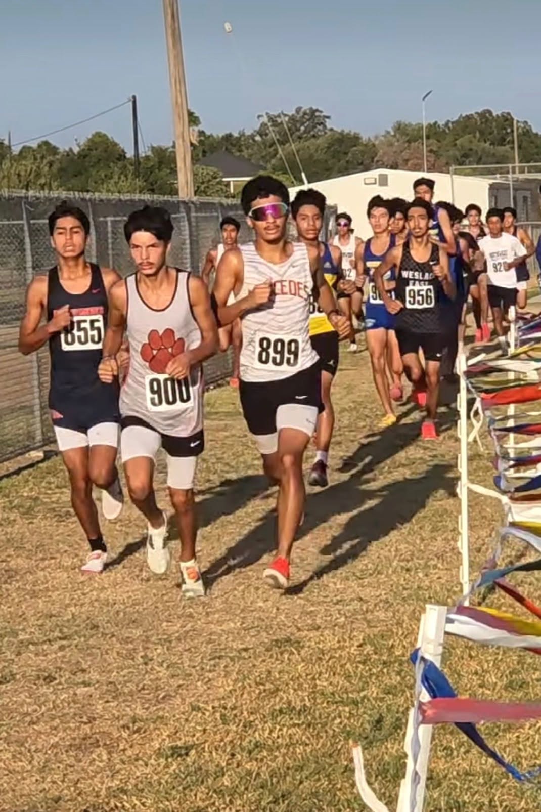  Mercedes Cross Country Runners Post Strong Finishes